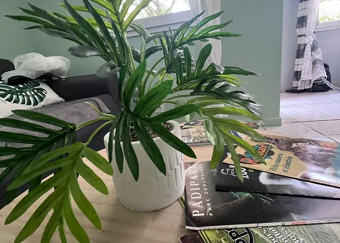 Les Caselas Feriehus Gramat