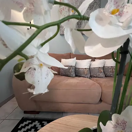 Les Caselas * غرامات