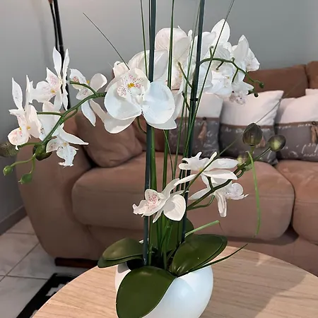 Les Caselas غرامات